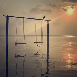 Meet your Posher, Lucy